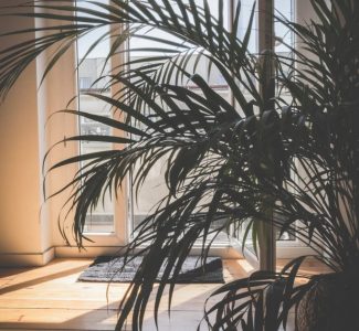 Comprehensive Market Insight